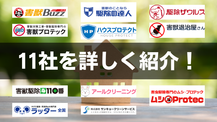 11社を詳しく紹介