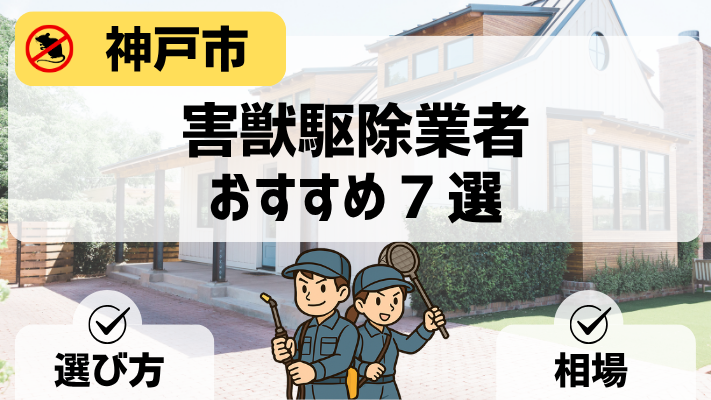 神戸市害獣駆除業者アイキャッチ