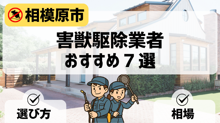相模原市害獣駆除業者アイキャッチ