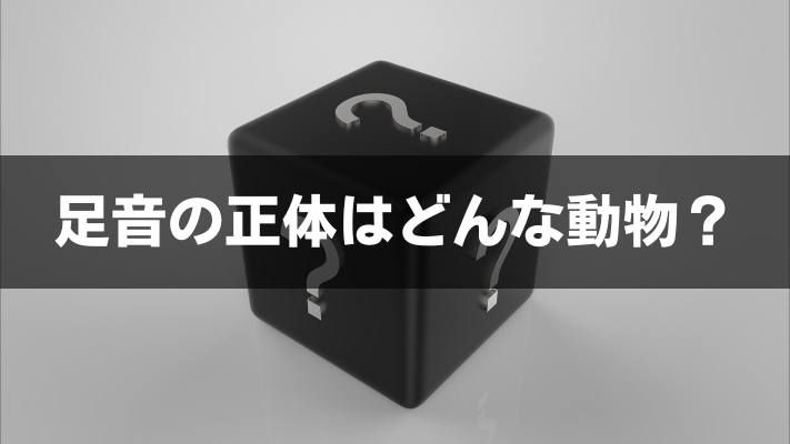 足音の正体はどんな動物？