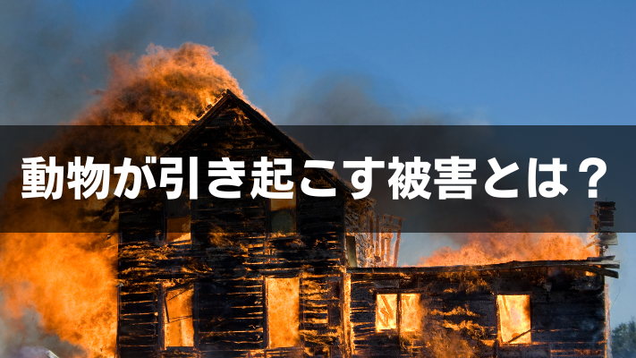 動物が引き起こす被害とは？
