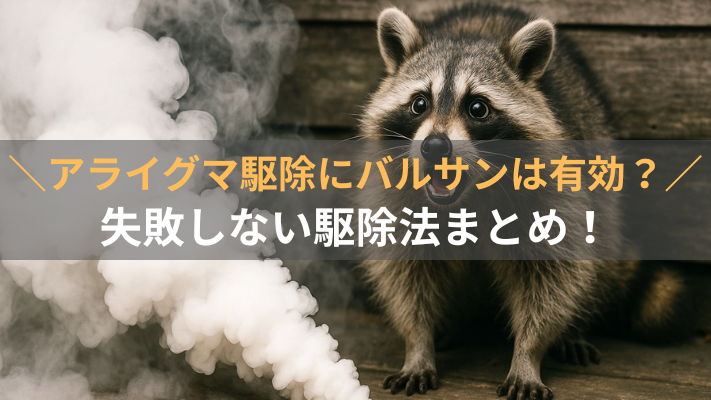 アライグマ駆除にバルサンは有効？失敗しない駆除法まとめ！