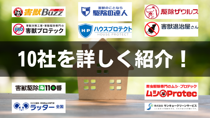 10社を詳しく紹介